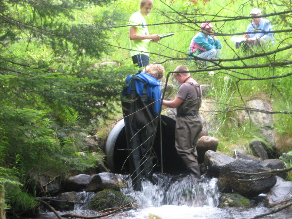 Cold Creek - Alden Highway 2