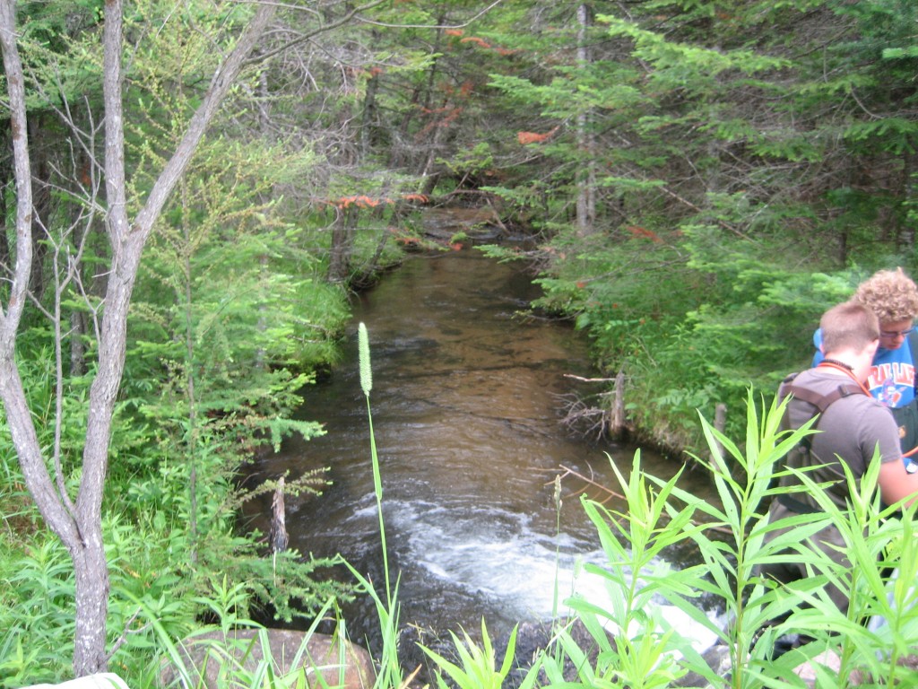 Cold Creek - Alden Highway 3