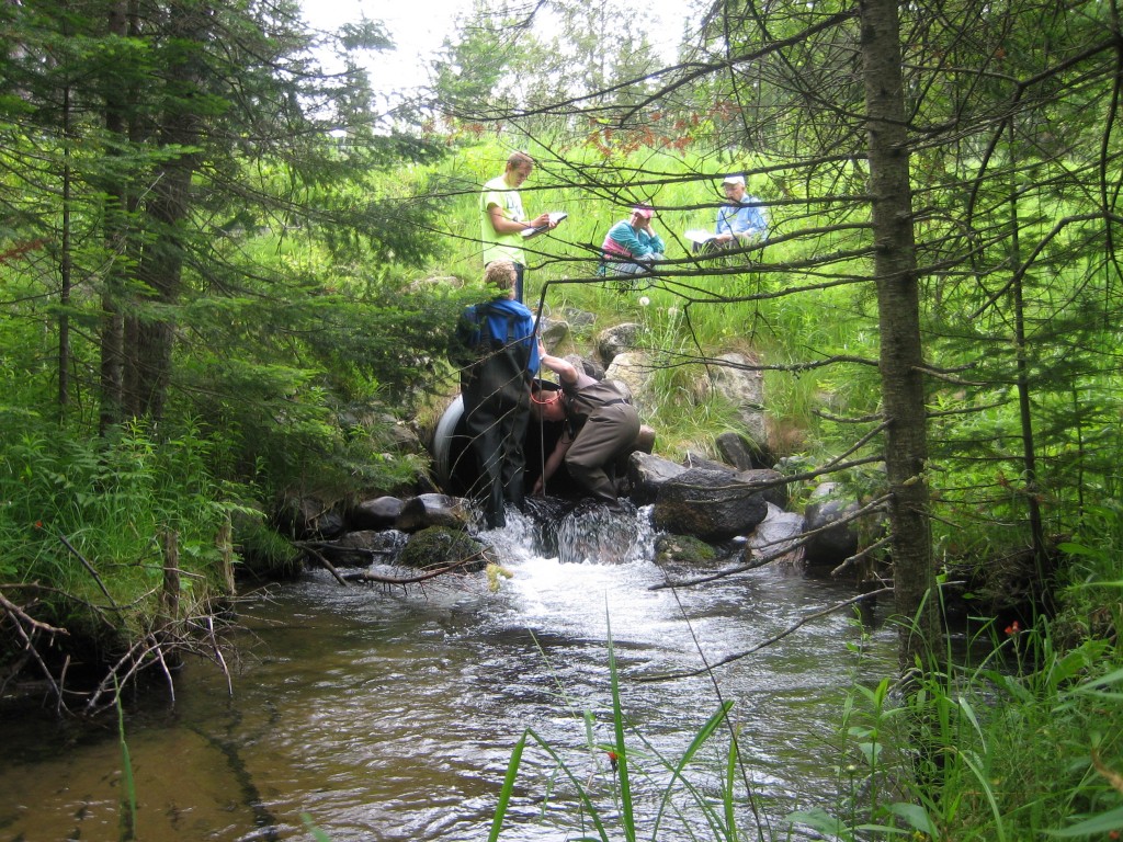 Cold Creek - Alden Highway 4