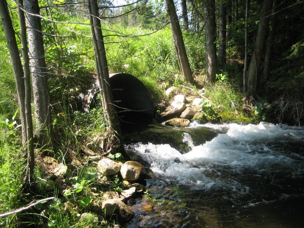 Cold Creek - Comfort Road