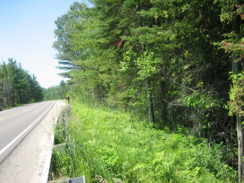 Cold Creek - Comfort Road 5