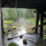 Cold Creek - Railroad Crossing