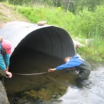 Cold Creek - Tyler Road