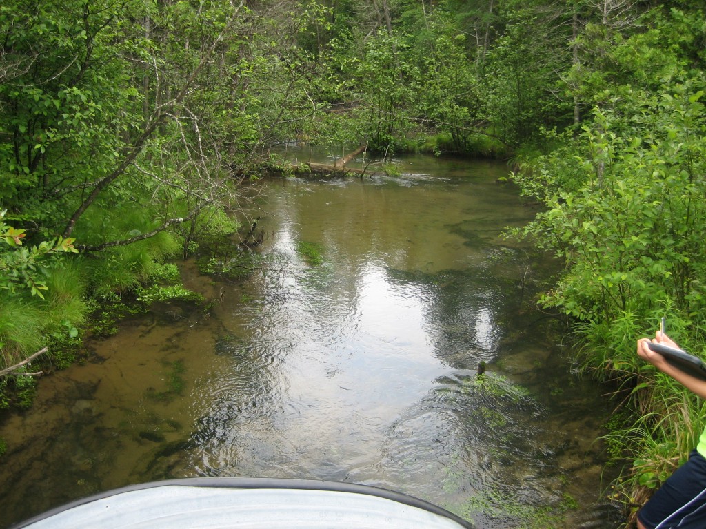 Cold Creek - Tyler Road
