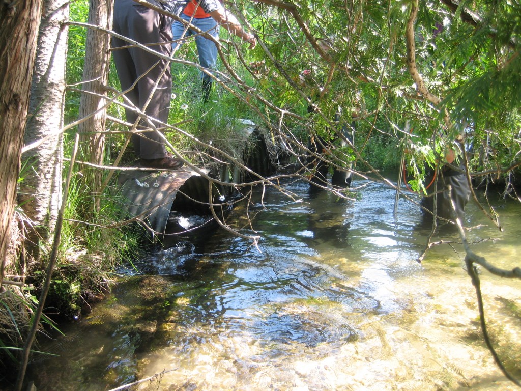 Finch Creek -Alden Highway