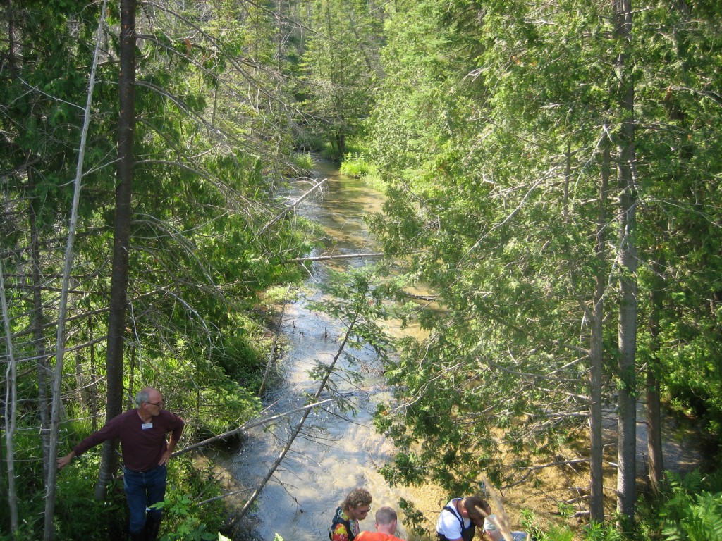 Finch Creek -Alden Highway