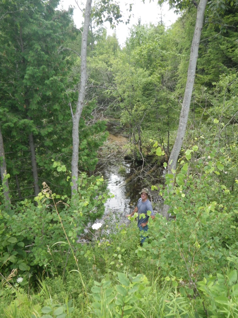 Finch Creek - Bebb Road