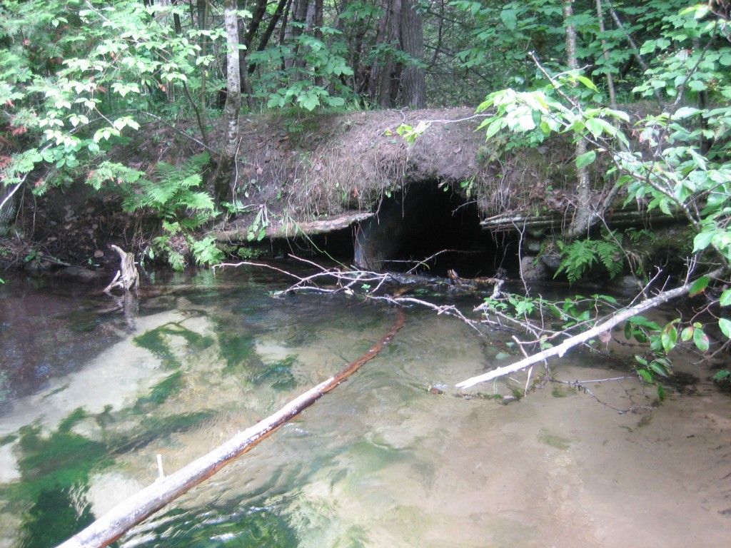 Finch Creek - Elder Road, East