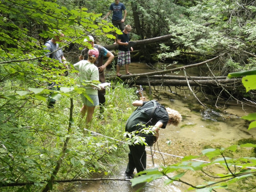 Finch Creek - Elder Road, East