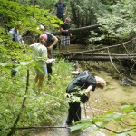 Finch Creek - Elder Road, East