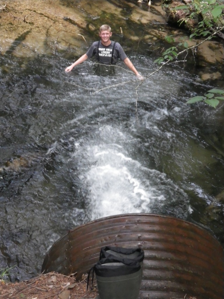 Finch Creek - Elder Road, East