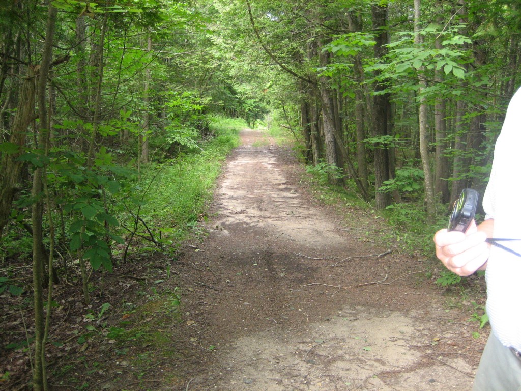 Finch Creek - Elder Road, East