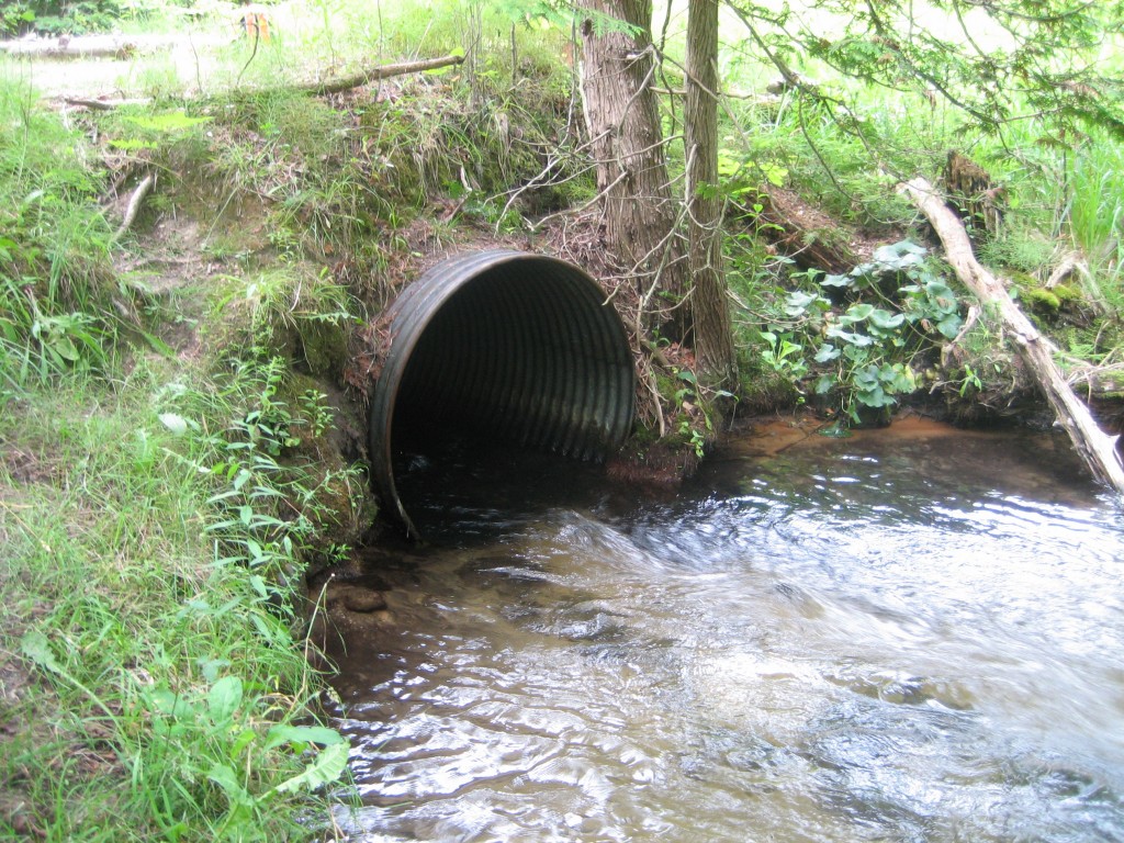 Finch Creek - Elder Road, West