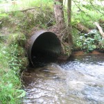 Finch Creek - Elder Road, West