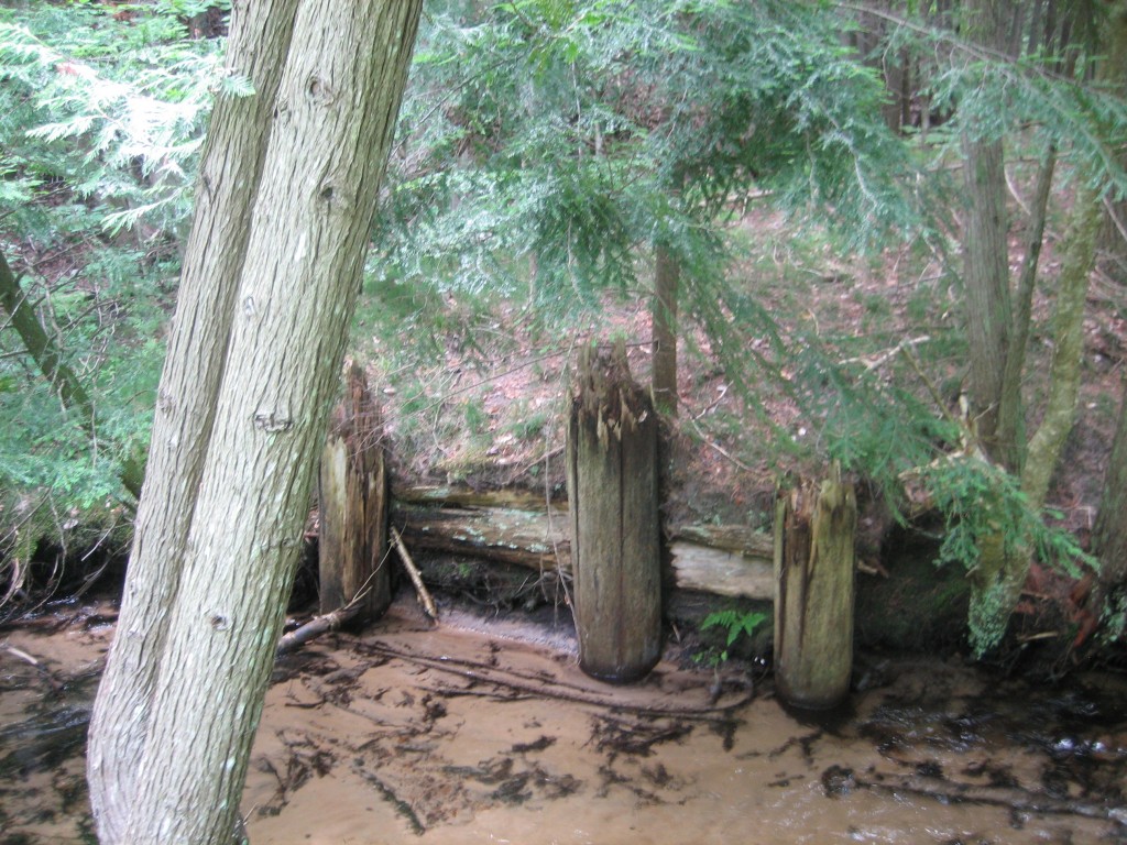 Finch Creek - Elder Road, West