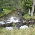 Finch Creek - Finch Creek Rd.