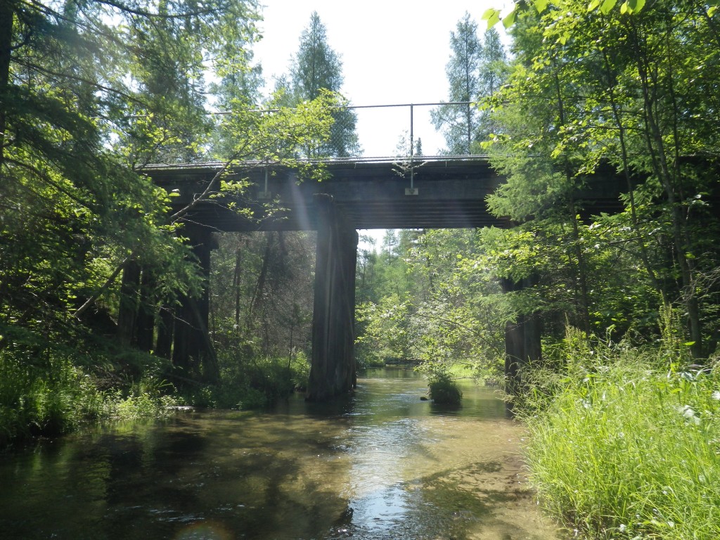 Finch Creek - Railroad Crossing