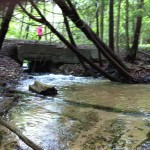 Shanty Creek - Creekside Drive