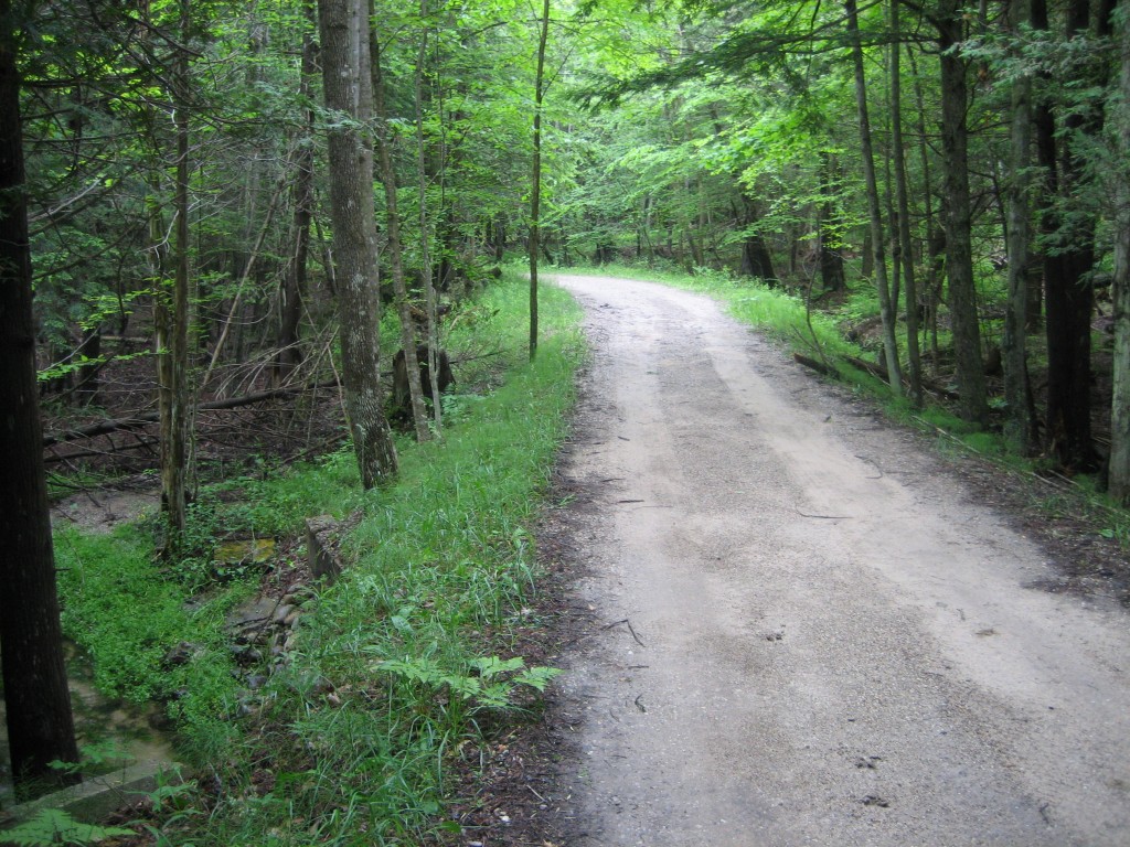 Shanty Creek - Creekside Drive