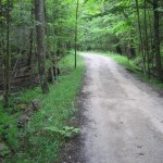 Shanty Creek - Creekside Drive