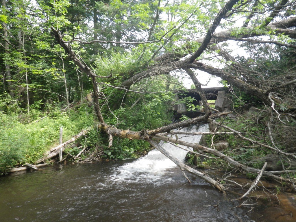 Shanty Creek - Old Hydropower Site