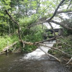 Shanty Creek - Old Hydropower Site