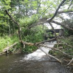 Shanty Creek - Old Hydropower Site