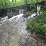 Shanty Creek - Pine Brook