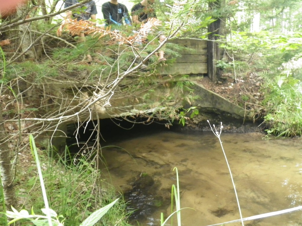 Shanty Creek - Railroad Crossing