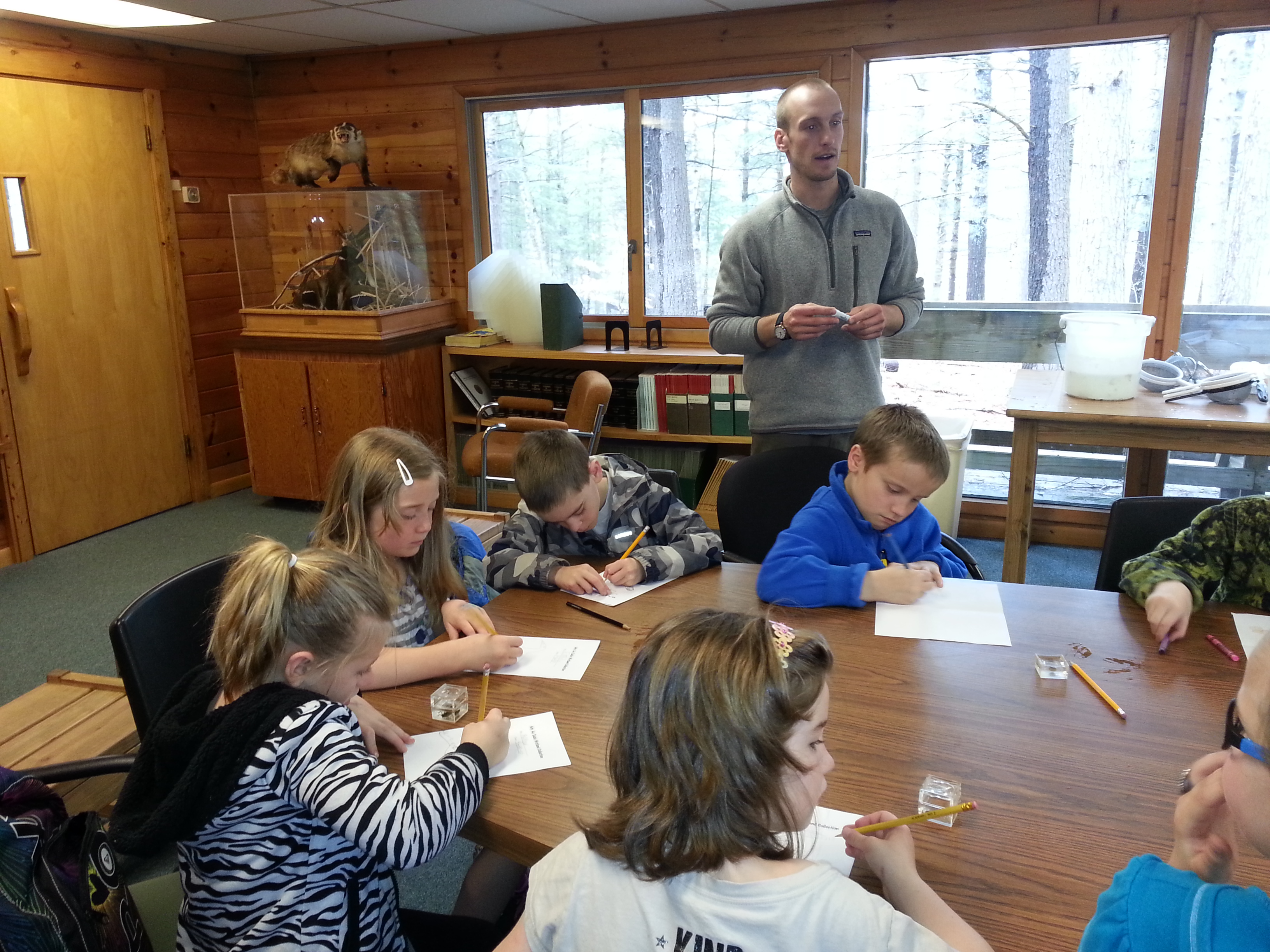 Drawing what they saw.